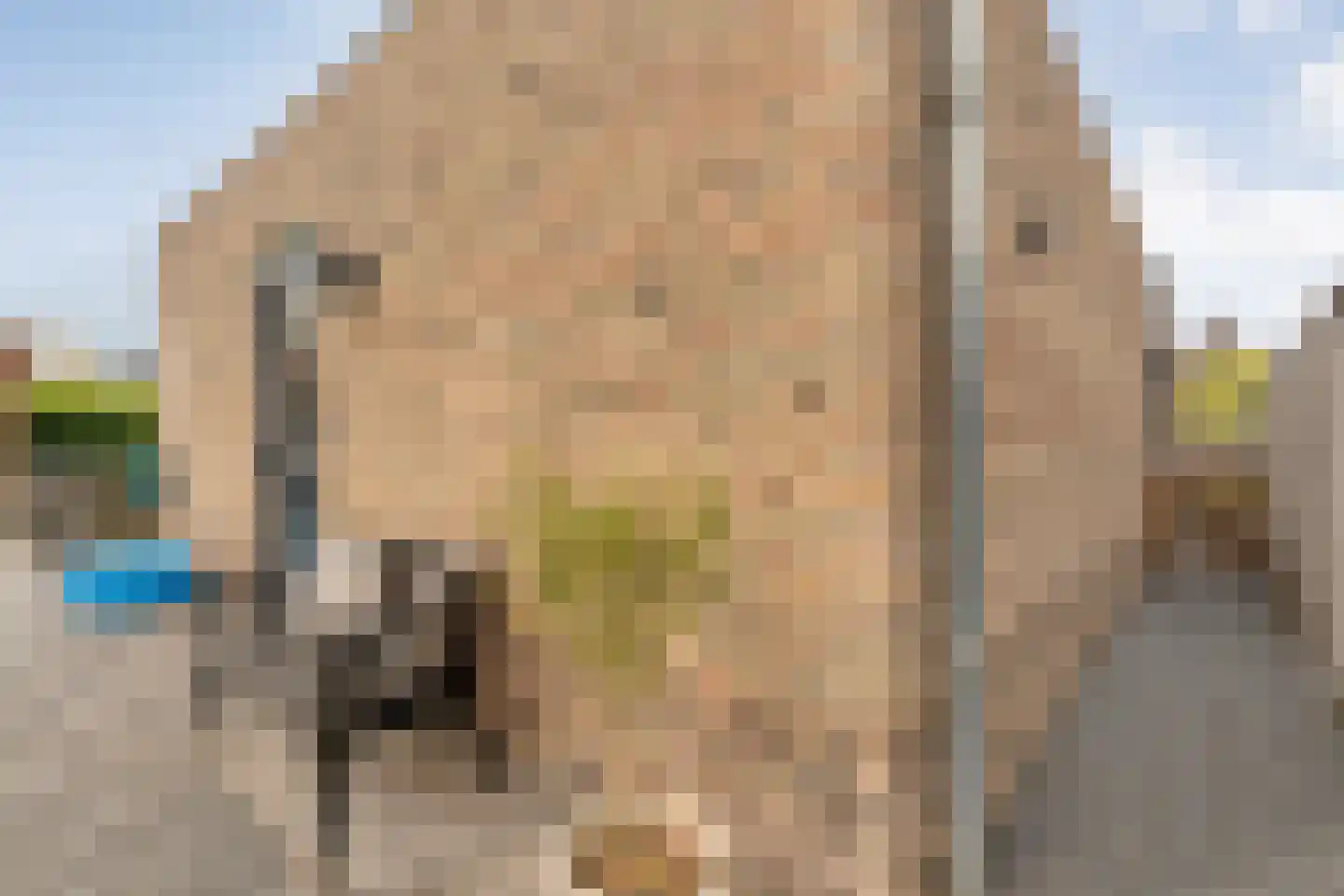 De Maten 9 Gramsbergen thumbnail 45