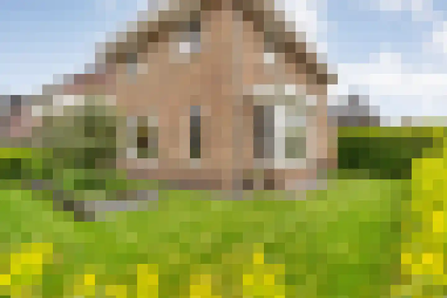 De Maten 9 Gramsbergen thumbnail 49
