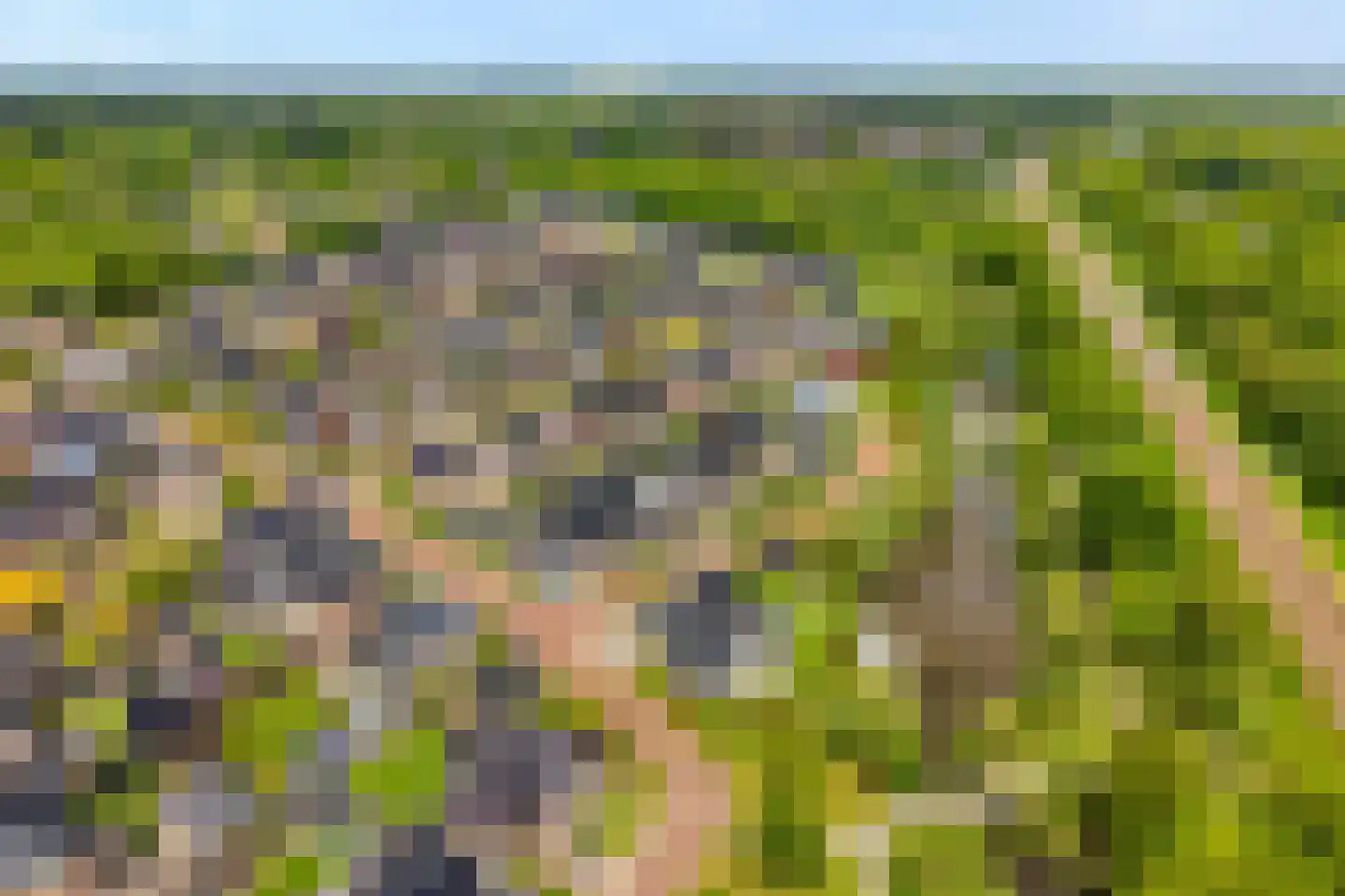 De Maten 9 Gramsbergen thumbnail 57