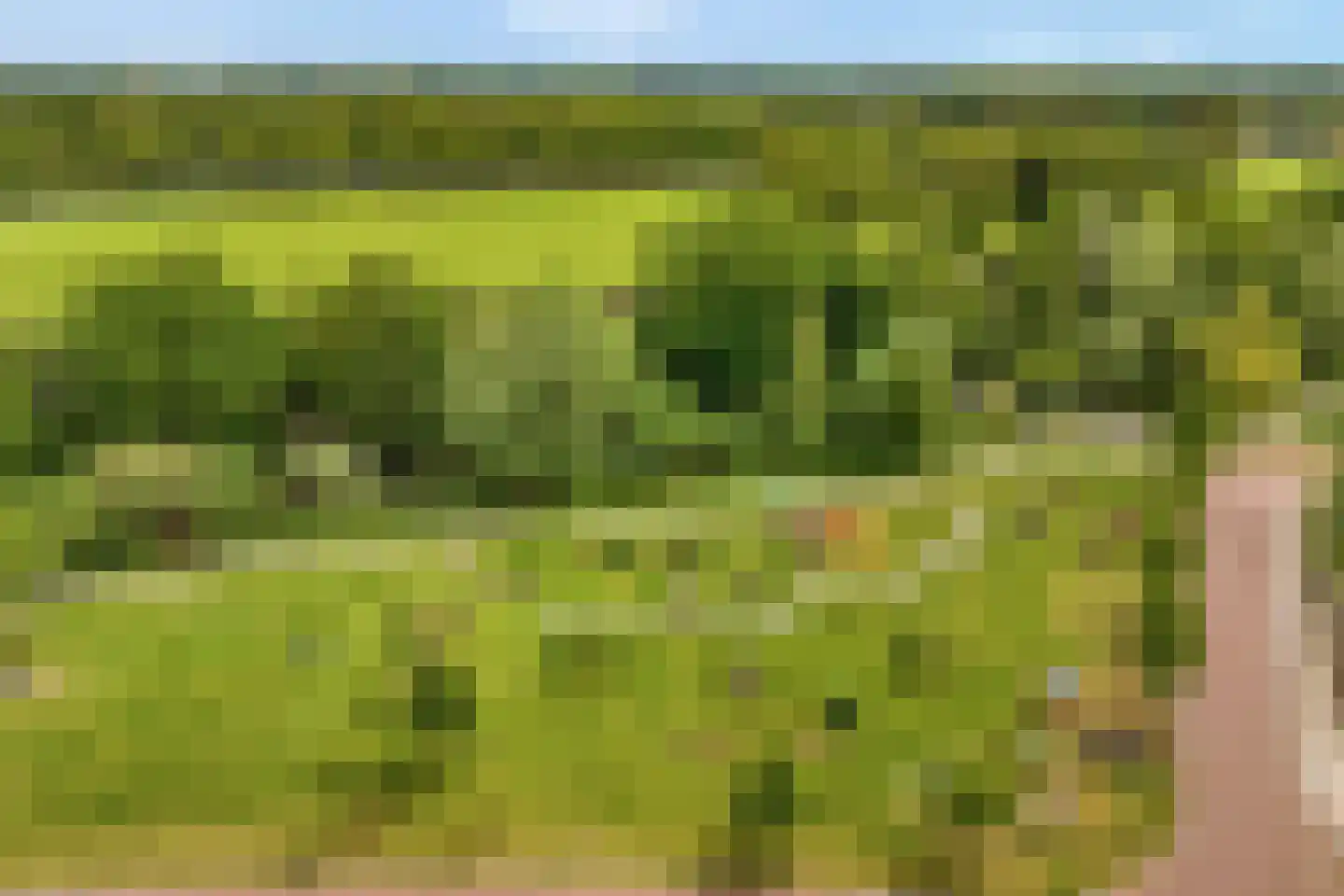 De Maten 9 Gramsbergen thumbnail 58