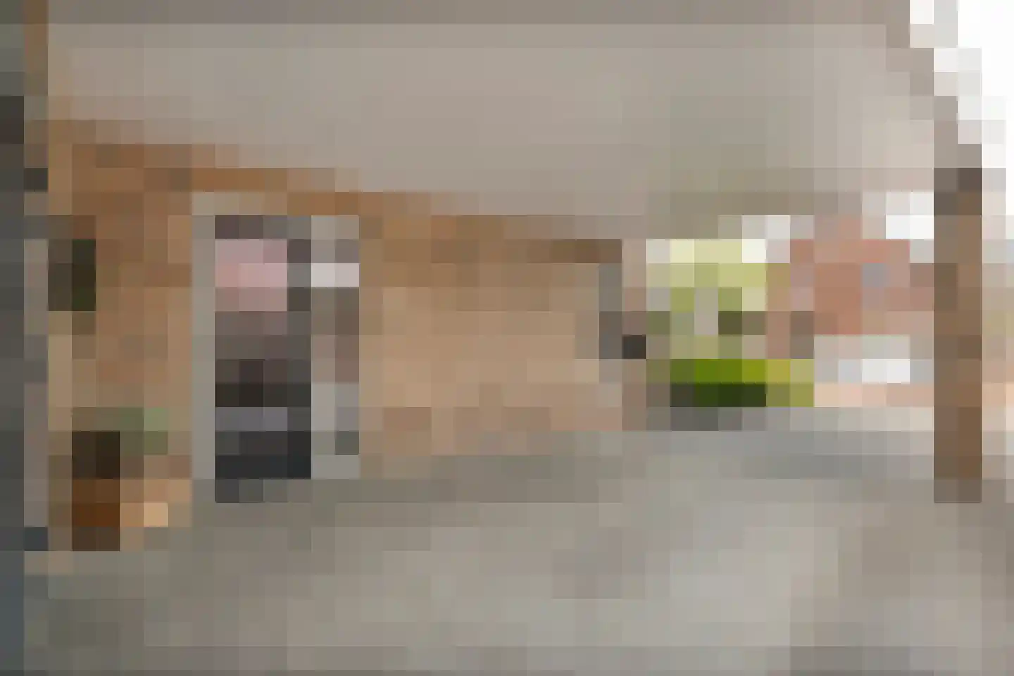 De Maten 9 Gramsbergen thumbnail 61