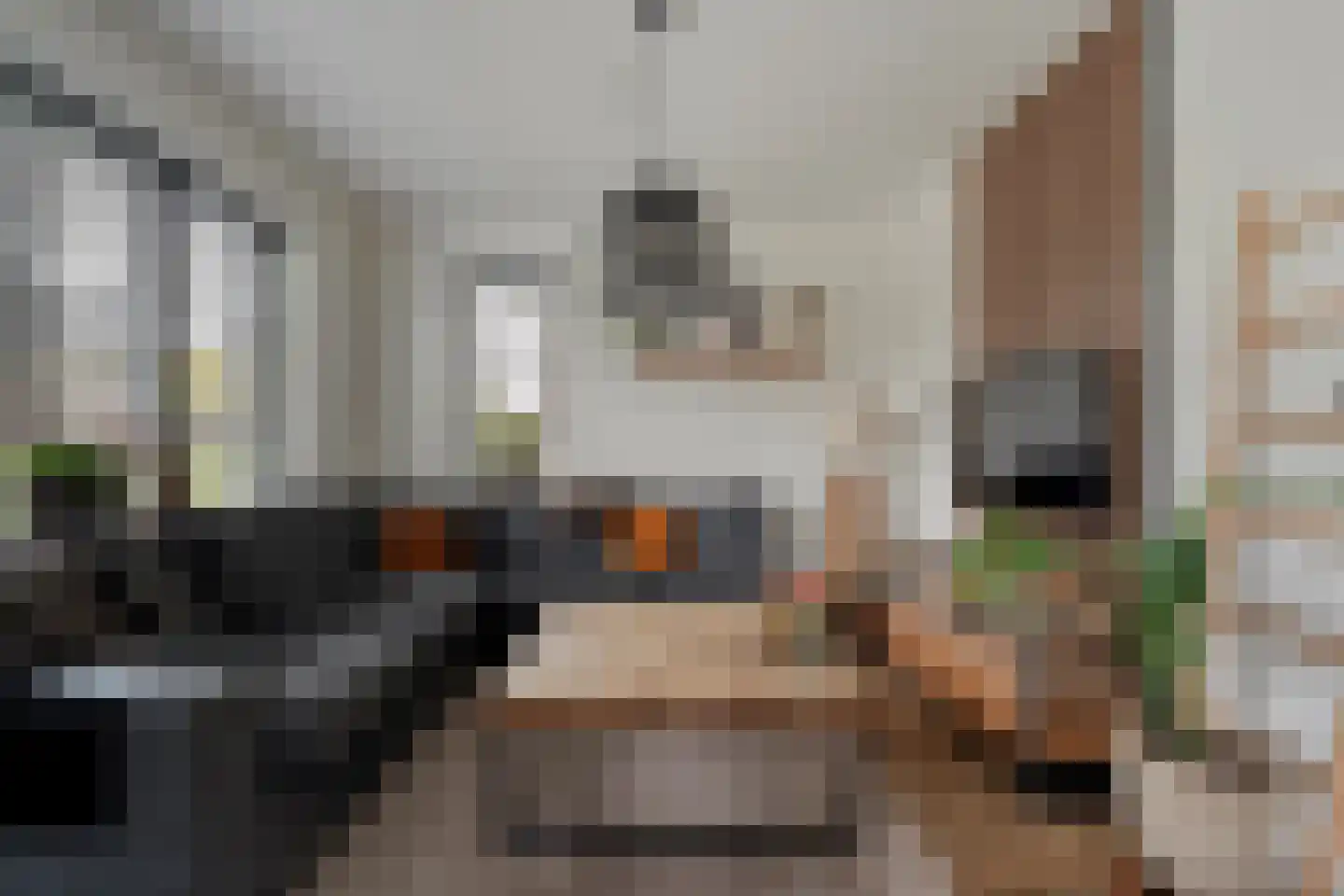 De Maten 9 Gramsbergen thumbnail 8