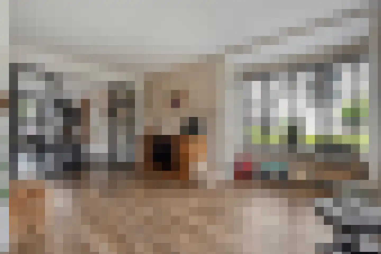 De Maten 9 Gramsbergen thumbnail 9