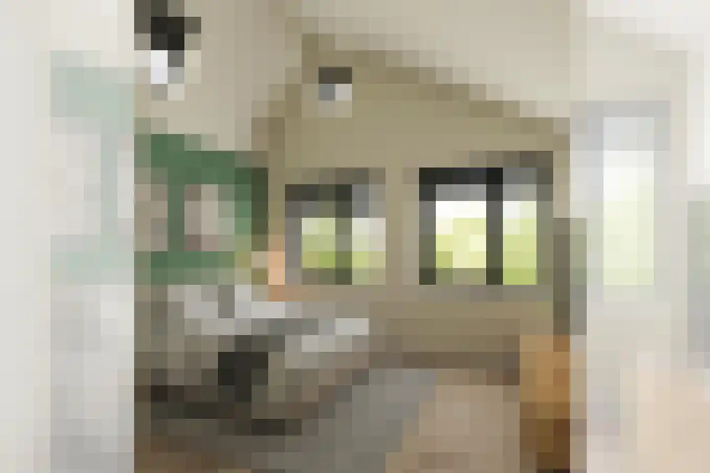 de Matenstraat 34 d Oldenzaal thumbnail 11