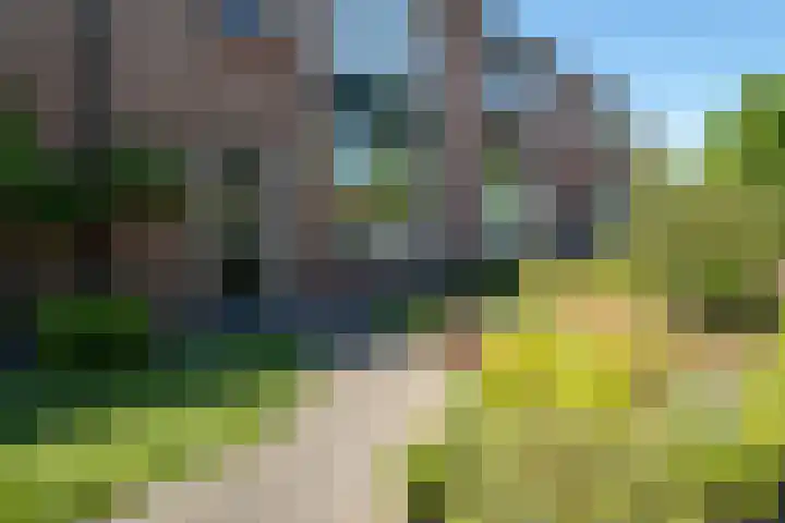 de Matestraat 8 Hellendoorn thumbnail 31