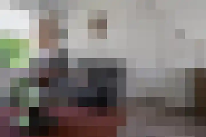 de Matestraat 8 Hellendoorn thumbnail 5