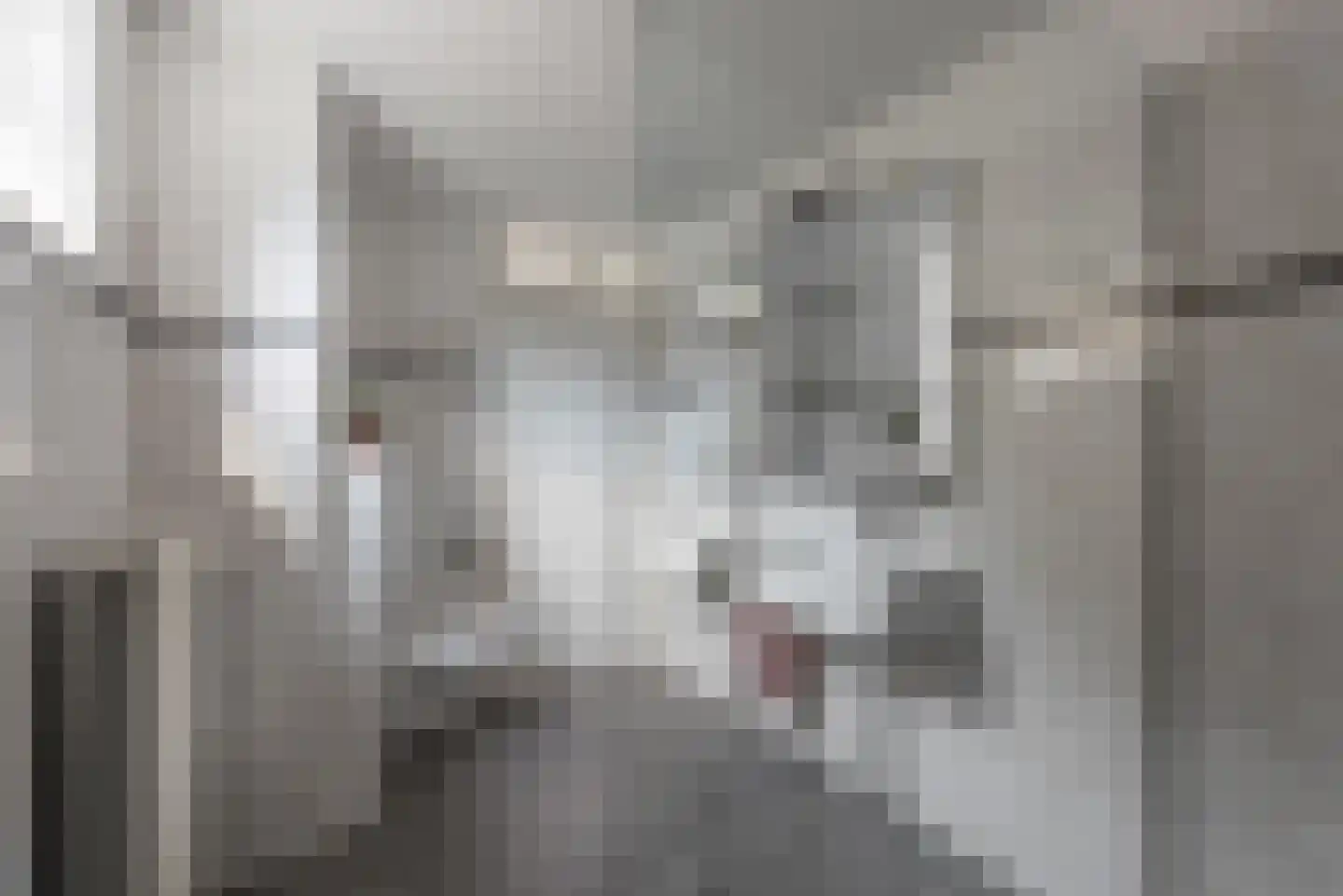 De Mathaak 35 Apeldoorn thumbnail 21