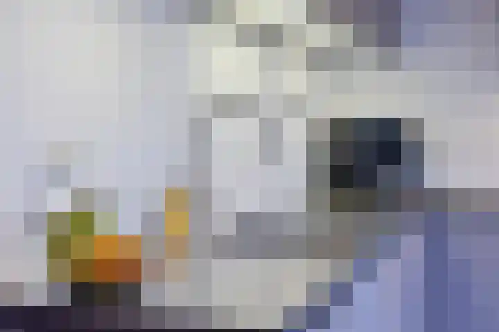De Mathaak 37 Apeldoorn thumbnail 9
