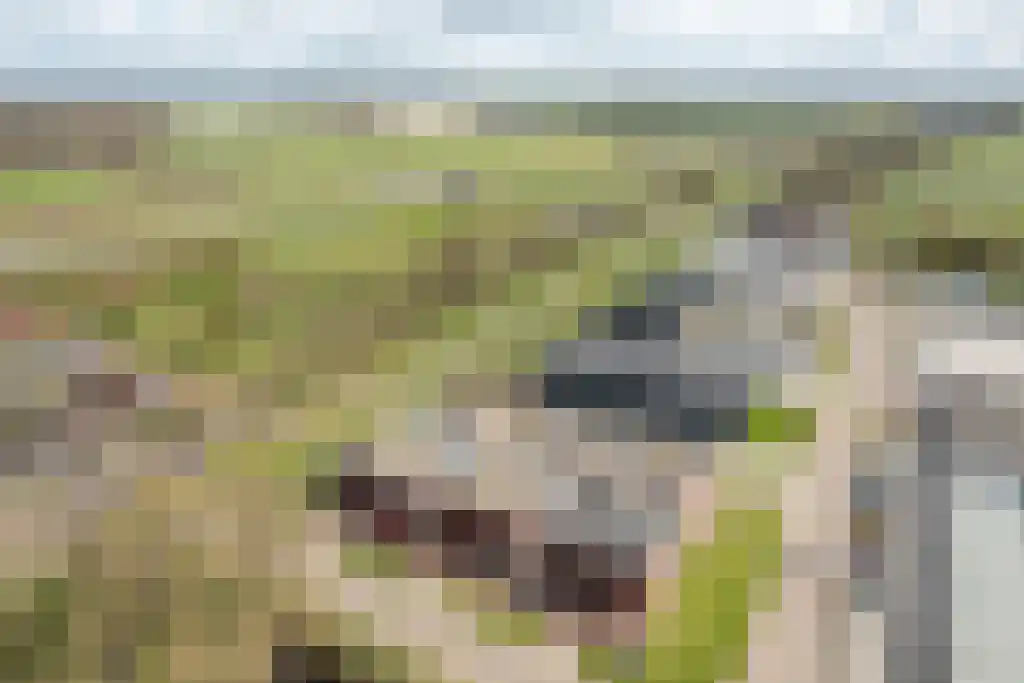 de Meander 1 Heerenveen thumbnail 12