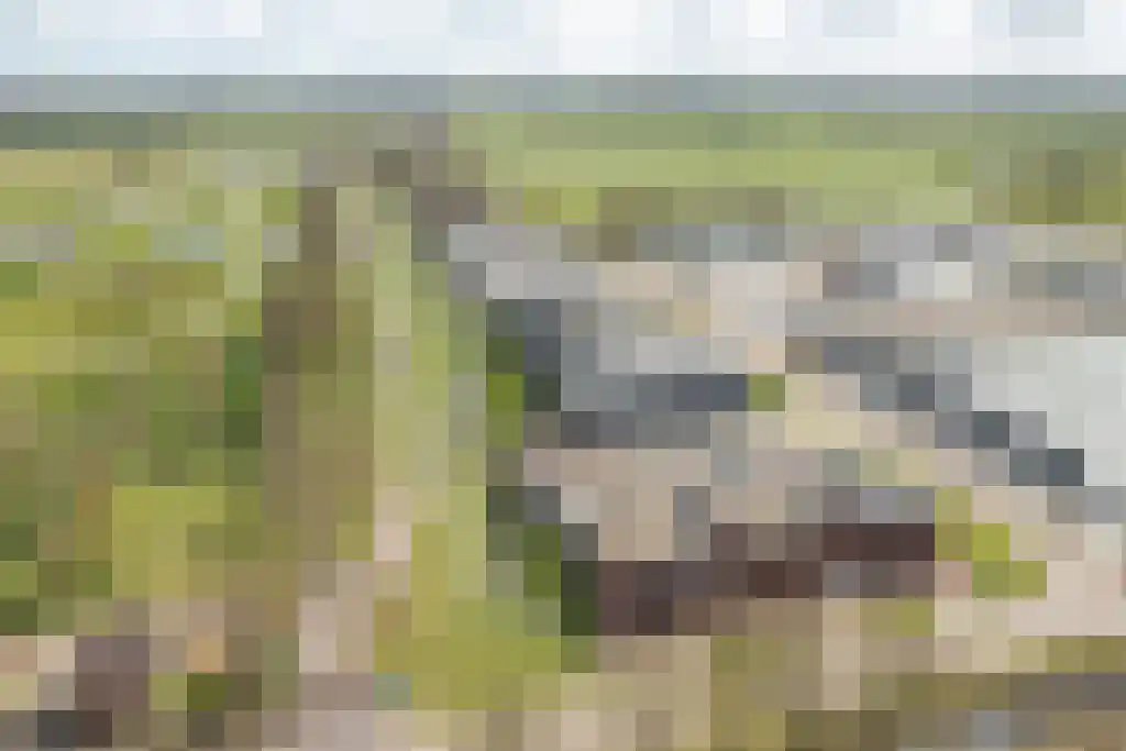de Meander 1 Heerenveen thumbnail 13