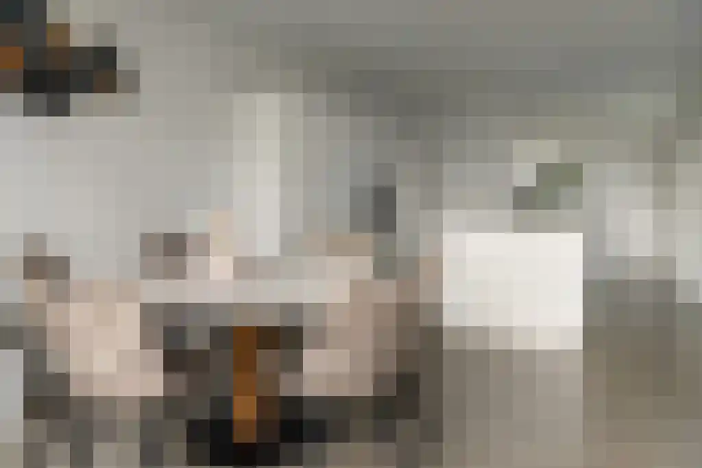 de Meander 1 Heerenveen thumbnail 34
