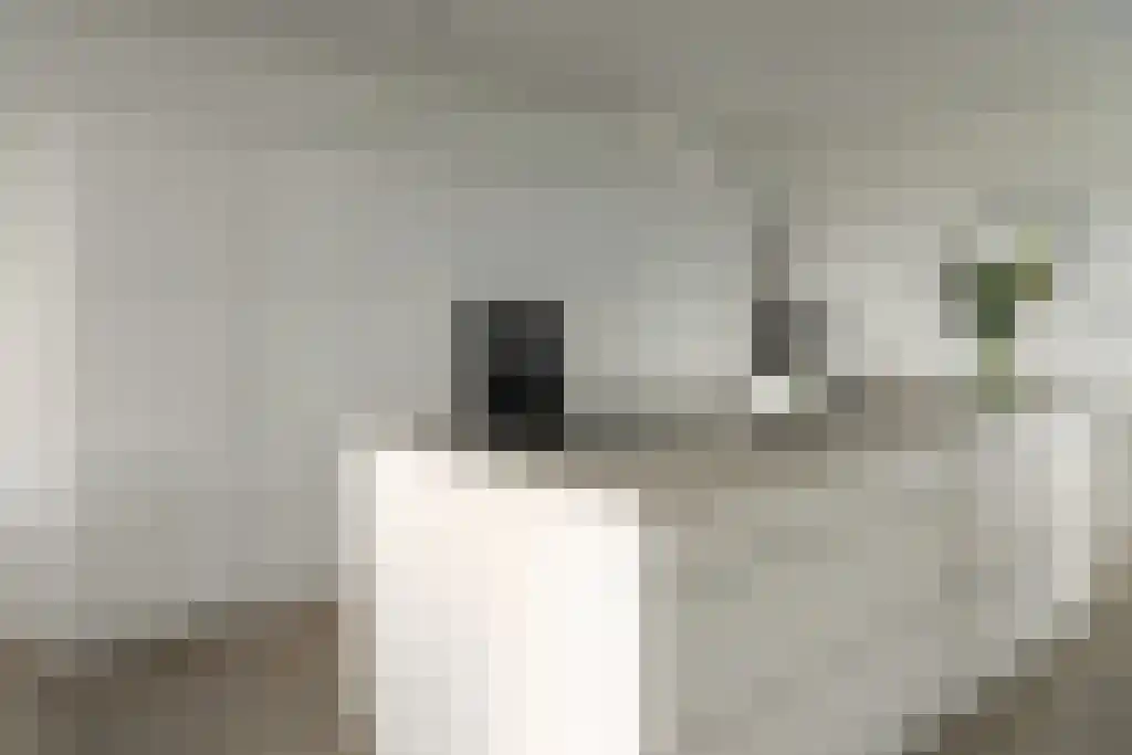 de Meander 1 Heerenveen thumbnail 35