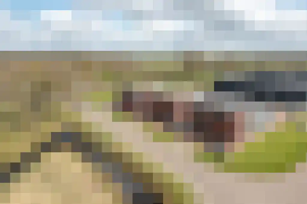 de Meander 1 Heerenveen thumbnail 7