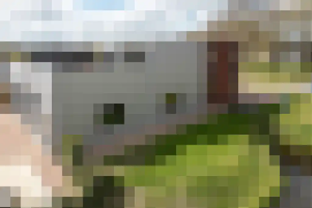 de Meander 1 Heerenveen thumbnail 8