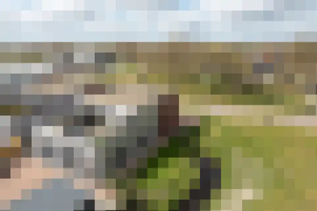 de Meander 1 Heerenveen thumbnail 9