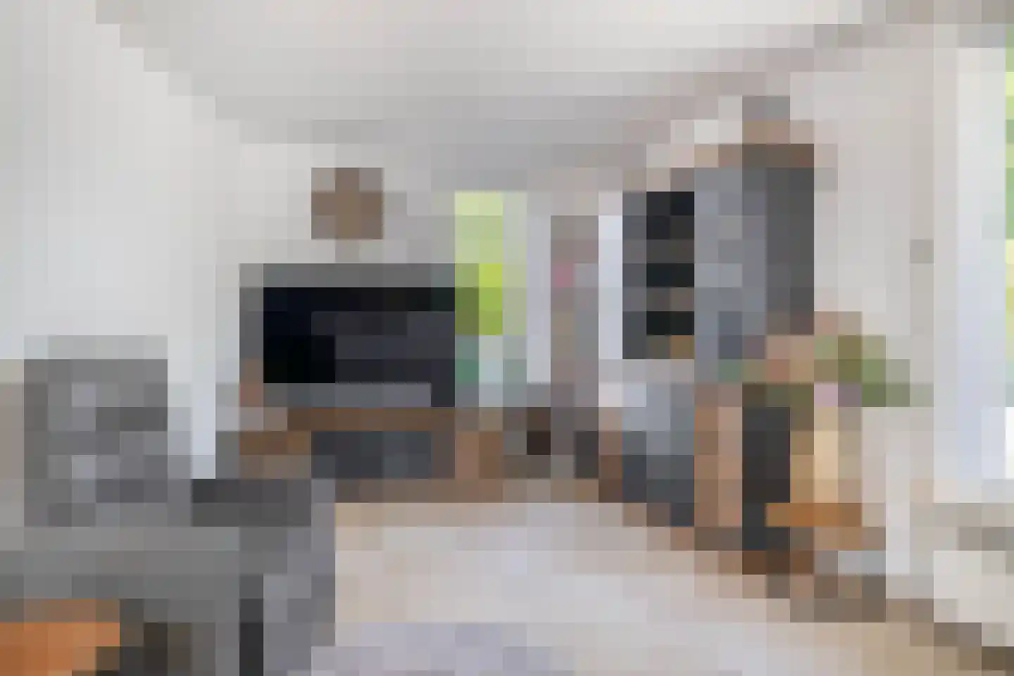 De Meekrap 6 Zevenbergen thumbnail 13