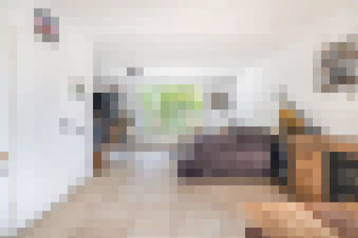 De Meekrap 6 Zevenbergen thumbnail 15