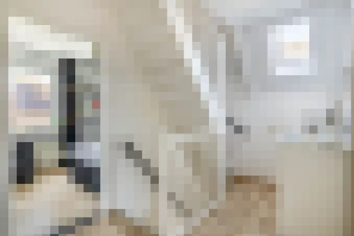De Meekrap 6 Zevenbergen thumbnail 24