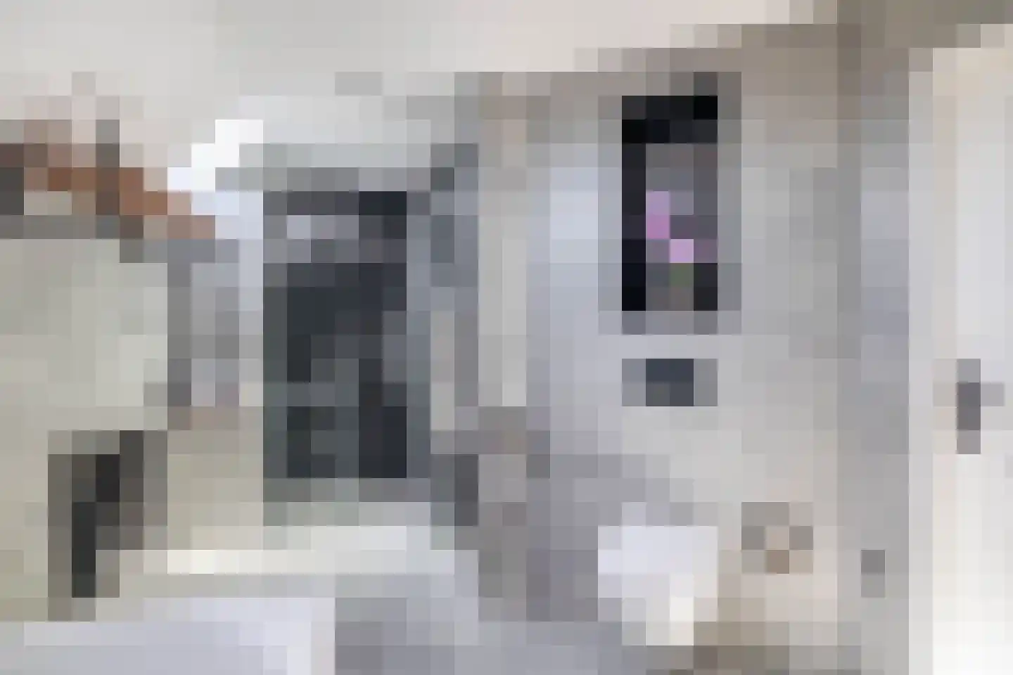 De Meekrap 6 Zevenbergen thumbnail 29