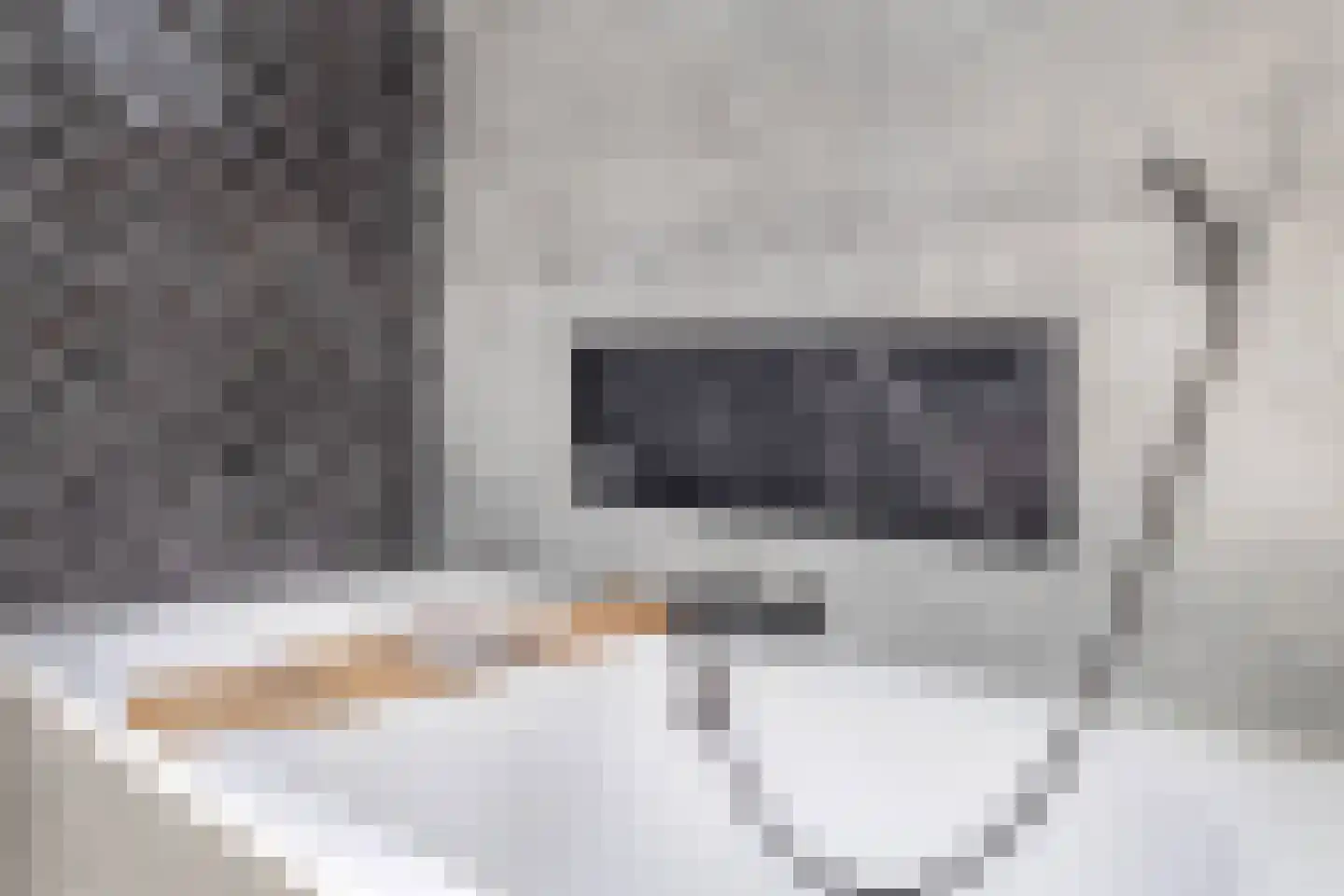 De Meekrap 6 Zevenbergen thumbnail 31