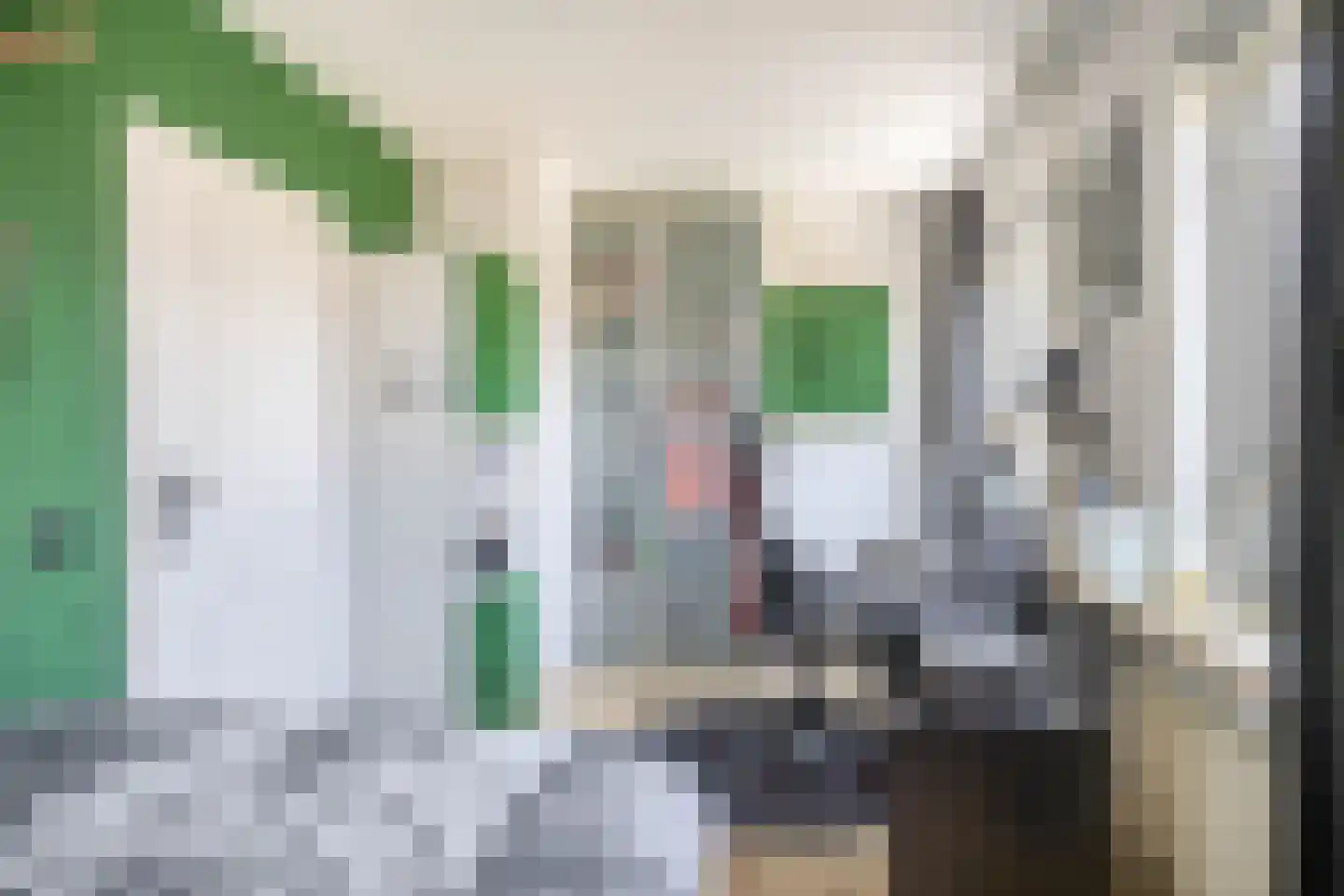 De Meekrap 6 Zevenbergen thumbnail 34