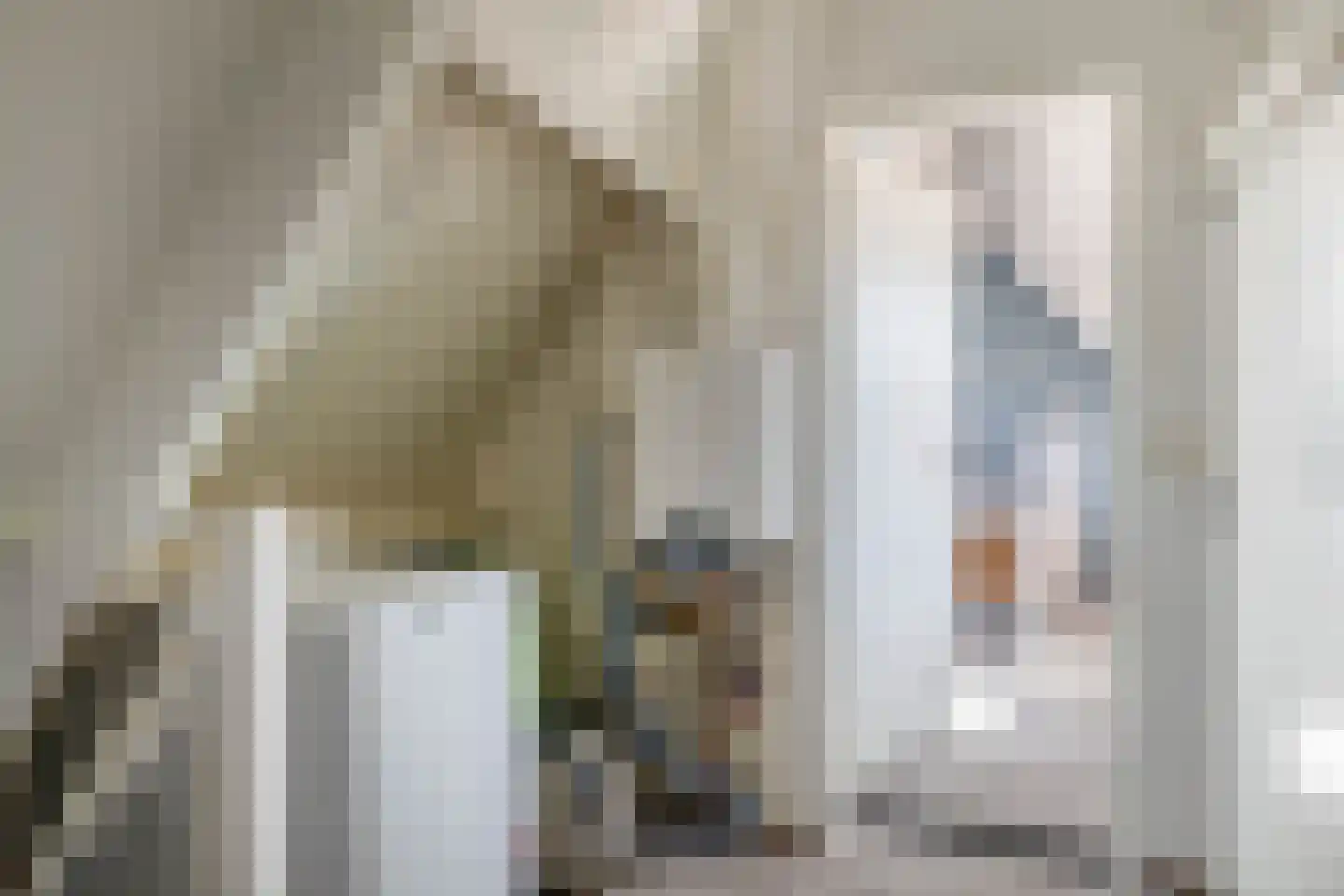 De Meekrap 6 Zevenbergen thumbnail 35