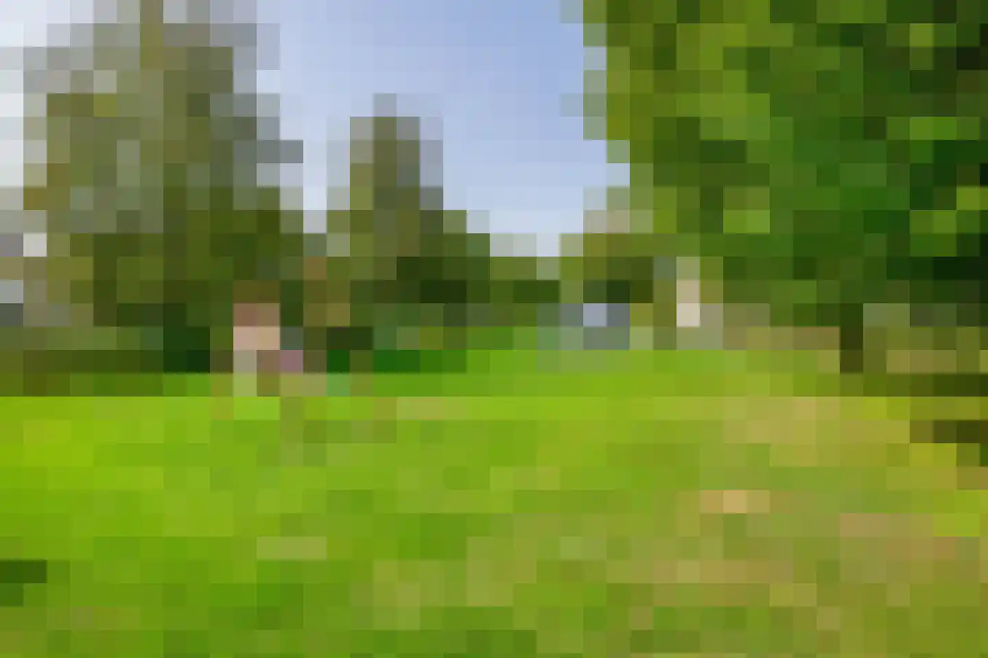 De Meekrap 6 Zevenbergen thumbnail 42