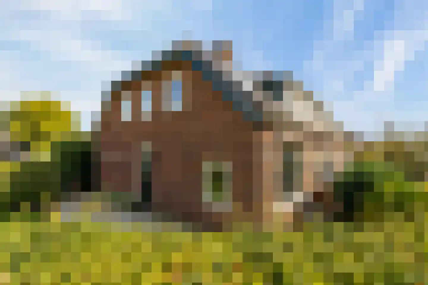 De Meent 1 in Odijk