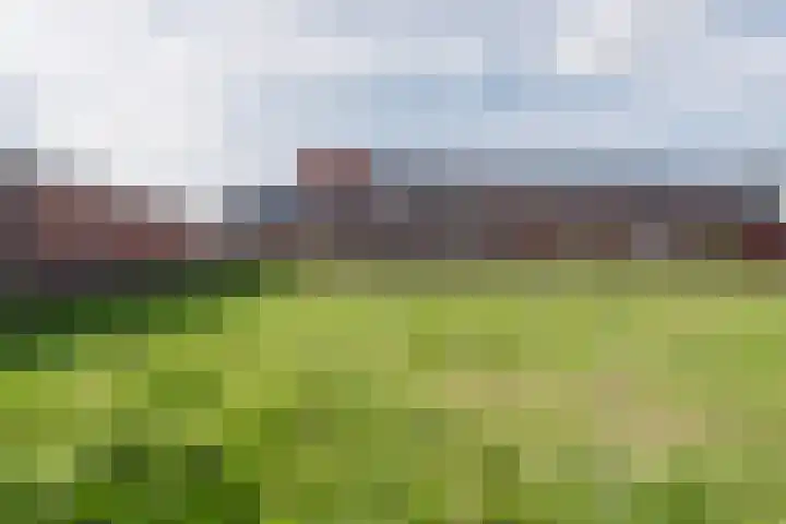De Meent 11 Bunschoten-Spakenburg thumbnail 31