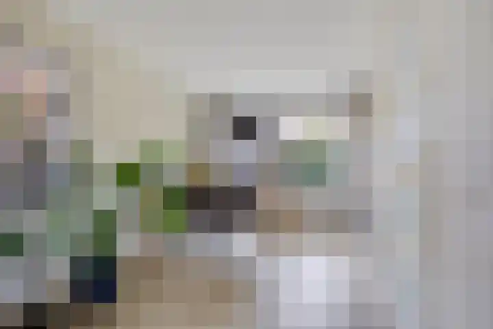 De Meent 11 Renswoude thumbnail 10