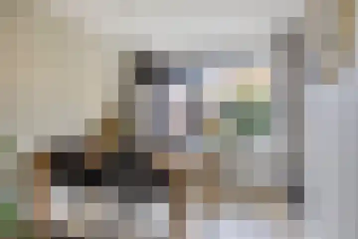 De Meent 11 Renswoude thumbnail 11