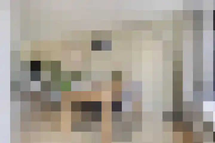 De Meent 11 Renswoude thumbnail 13