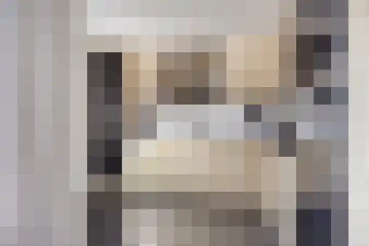 De Meent 11 Renswoude thumbnail 14