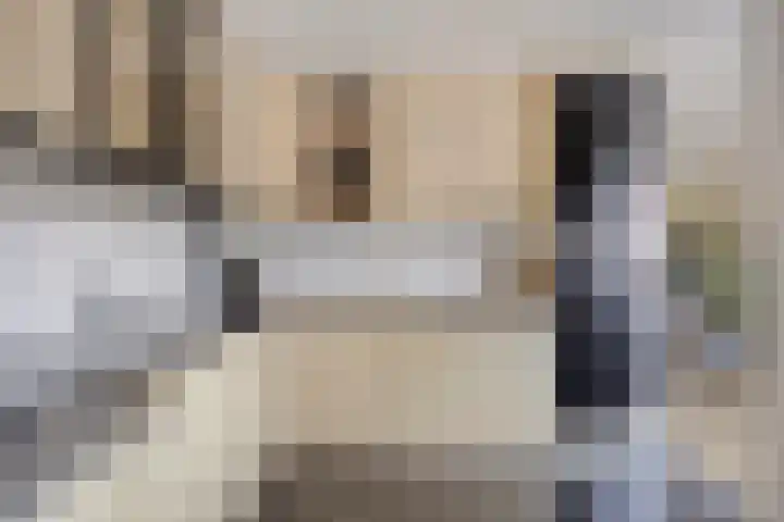 De Meent 11 Renswoude thumbnail 15