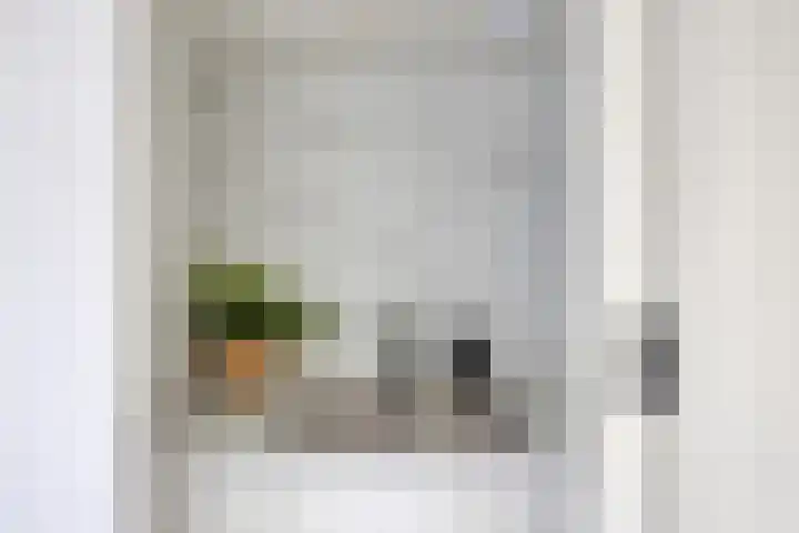 De Meent 11 Renswoude thumbnail 18
