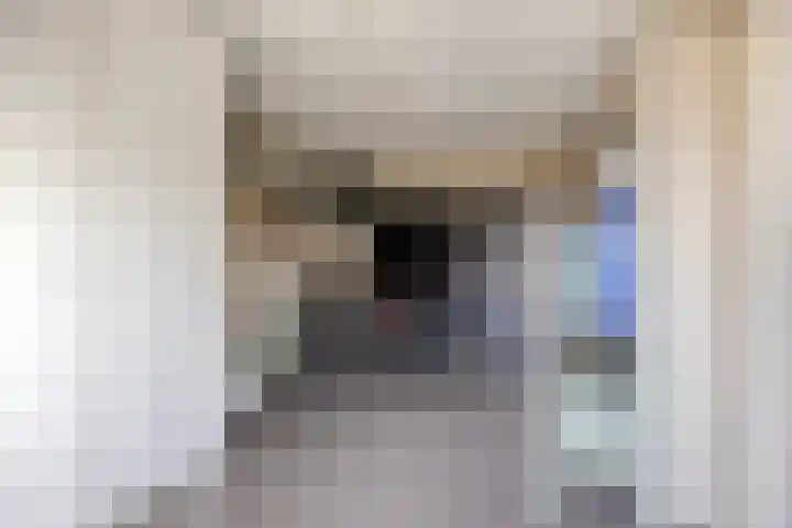 De Meent 11 Renswoude thumbnail 19