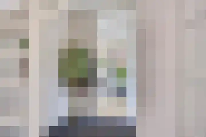 De Meent 11 Renswoude thumbnail 20