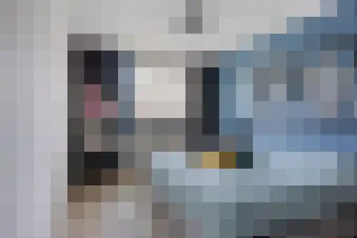 De Meent 11 Renswoude thumbnail 24