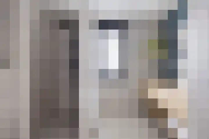 De Meent 11 Renswoude thumbnail 26
