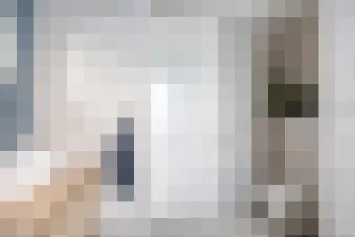De Meent 11 Renswoude thumbnail 28