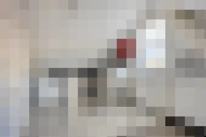 De Meent 11 Renswoude thumbnail 33