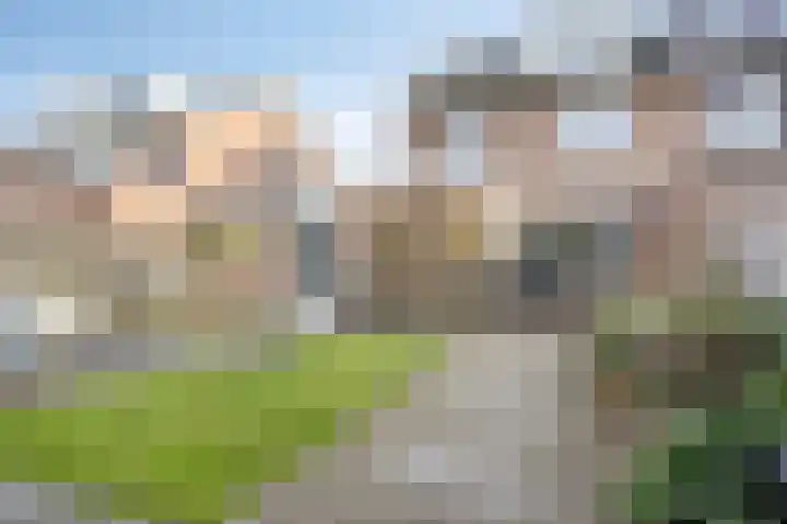 De Meent 11 Renswoude thumbnail 37