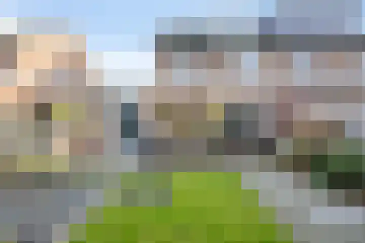 De Meent 11 Renswoude thumbnail 38