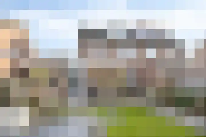 De Meent 11 Renswoude thumbnail 39