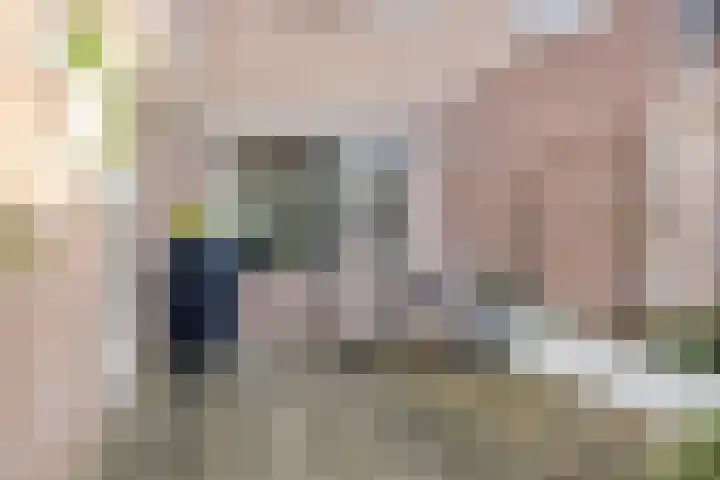 De Meent 11 Renswoude thumbnail 41