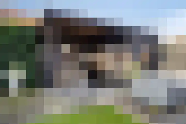 De Meent 11 Renswoude thumbnail 42