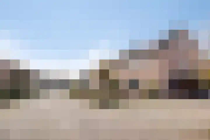 De Meent 11 Renswoude thumbnail 44