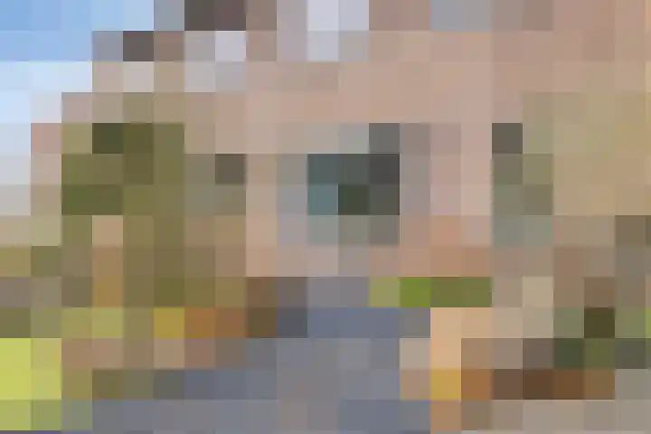 De Meent 11 Renswoude thumbnail 45