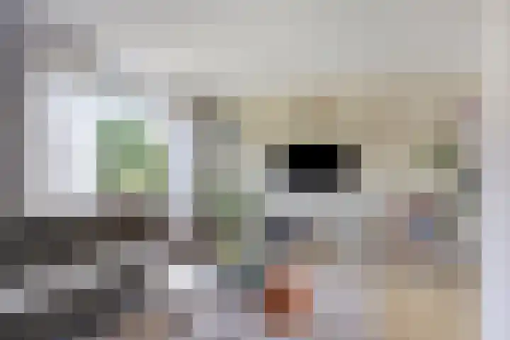 De Meent 11 Renswoude thumbnail 6