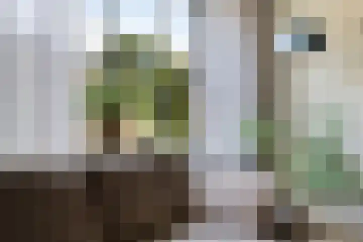 De Meent 11 Renswoude thumbnail 7